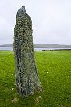 The Stone of the Ripples, Fetlar Island, Shetland Islands, Scotland, UK