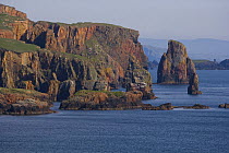 Coastal landscape near Eshaness, W Shetland Islands, Scotland, UK