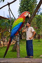 Telephone kiosk in shape of Macaw, Parque Nacional Chapada dos Guimares, Mato Grosso, Brazil