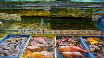 Fish and shellfish displayed at seafood restaurant, Kota Kinabalu, Sabah, Borneo, Malaysia