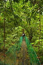 Tourists viewing wildlife from a rainforest canopy walkway, Danum Valley forest reserve, Sabah, Borneo, Malaysia
