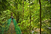 Tourists viewing wildlife from a rainforest canopy walkway, Danum Valley forest reserve, Sabah, Borneo, Malaysia