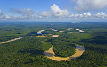 Aerial view of river meandering through lowland rainforest showing formation of ox-bow lake, Rio Sungai Kinabatangan, Sabah, Borneo, Malaysia  2007
