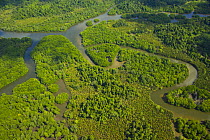 Aerial view of river meandering through lowland rainforest, Rio Sungai Kinabatangan, Sabah, Borneo, Malaysia  2007