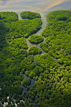 Aerial view of lowland rainforest on banks of River Kinabatangan, Sabah, Borneo, Malaysia~ 2007