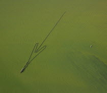 Aerial view of fishing nets in Kinabatangan river,  Sabah, Borneo, Malaysia 2007