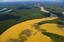 Aerial view of lowland rainforest and Kinabatangan River and tributaries coloured with mineral deposits, Sabah, Malaysia . 2007
