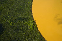 Aerial view of lowland rainforest and Kinabatangan River coloured with mineral deposits, Sabah, Malaysia . 2007