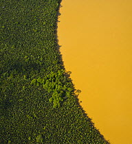 Aerial view of lowland rainforest and Kinabatangan River coloured with mineral deposits, Sabah, Malaysia . 2007