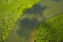Aerial view of lowland rainforest and Kinabatangan River, Sabah, Malaysia . 2007