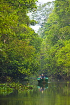 Tourists viewing lowland rainforest from boat, River Sungai Kinabatangan, Sabah, Borneo, Malaysia 2007
