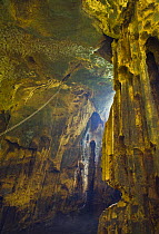 Inside the Gomantong caves with ladder for collecting Swiftlet nests, River Sungai Kinabatangan, Sabah, Borneo, Malaysia  2007