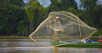 Fisherman throwing fishing net, Kinabatangan River, Sabah, Borneo, Malaysia  2007