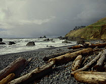 Storm approaching over the Pacific Ocean, viewed from Ecola State Park, Oregon, USA
