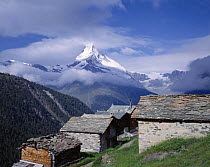 Traditional farm buildings of findeln with the Matterhorn in the distance, Alps, Switzerland