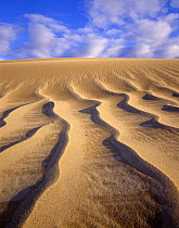 Sand dunes near Stovepipe Wells in Death Valley National Park, California, USA