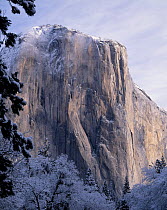 El Capitan after a winter storm, Yosemite National Park, California, USA