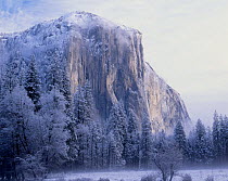 El Capitan after a winter storm in Yosemite National Park, California, USA