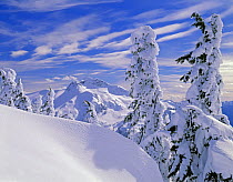 Winter at Artist Point in Mount Baker-Snoqualmie National Forest, Washington, USA