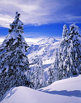 Winter view of Mount Baker from Artist Point in the Heather Meadows Recreation Area of Mount Baker-Snoqualmie National Forest, Washington, USA