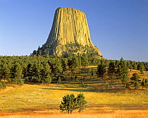 Devils Tower from Joyner Ridge Trail in Devls Tower National Monument, Wyoming, USA