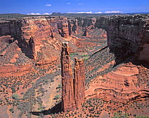 Spider Rock in Canyon de Chelly National Monument, Arizona, USA