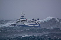 MFV trawler "Harvester" in storm force winds and heavy seas, 70 miles east of the Shetlands. Winds gusting to 83 Knots. January 2009.  Property Released.