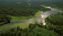 Small tributary of Amazon river during the rainy season. Brazil, 1994.