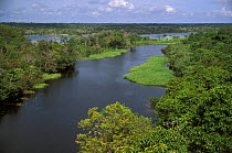 Rio Negro flooded during rainy season, Amazon, Brazil, 1993.