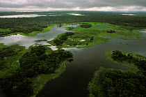 Flooded tributary of the Amazon river during the rainy season, Amazon, Brazil, 1994.