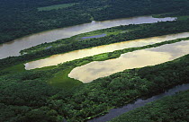 Backwaters of the Rio Mamore, Beni, Bolivia, January 2001.