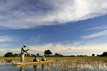 Tourists on Mokoro tour (traditional canoe) Jao Camp, Okavango Delta, Botswana, model released