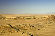 Valley view, Skeleton Coast, Namibia