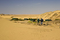Tourists hiking near desert camp, Skeleton Coast, Namibia