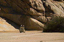 Tourist safari vehicle on tour, Sossusvlei, Namib-Naulkuft National Park, Namibia