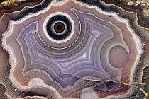 Cross section of Agate stone, Silicon dioxide, Mexico