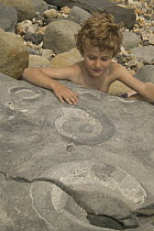 Boy with fossil of Ammonite {Arietites sp} mass mortality, Lyme Regis, Jurassic coast World Heritage Site, Dorset, UK, model released