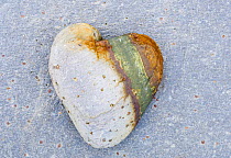 Heart-shaped pebble, Scotland, UK