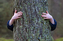 Child hugging a pine tree, Angus, Scotland, UK, 2007