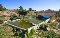 Photographer's hide and pool for photographing birds, near Alicante, Spain, February 2008