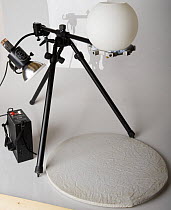 Rig used to photograph invertebrates outdoors with white background, 2008