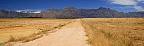Upaved road and mountains, South Africa. December 2008.