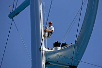 Crewman up mast, Saint Barths Bucket Super Yacht Regatta, Caribbean, March 2009.