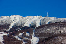 Snow covered trees line the ski slopes of Mount Tremblant. Quebec, Canada, 2008.