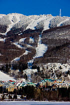 Snow covered trees line the slopes of Mount Tremblant. Quebec, Canada, 2008.