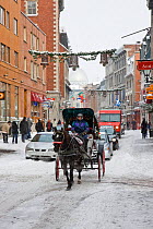 Horse and cart in street. Montreal, Canada, 2008.