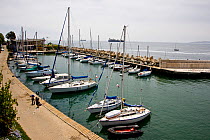 Small marina filled with yachts in Valparaiso, Chile, 2008.