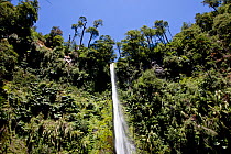 Waterfall in the Lakes region of central Chile, 2008.