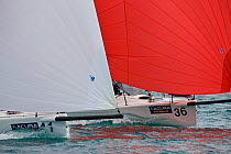 Spinnakers obscuring two yachts racing during the Acura Miami Grand Prix, Florida, USA. March 2008