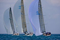 Three yachts under spinnaker during the Acura Miami Grand Prix, Florida, USA. March 2008